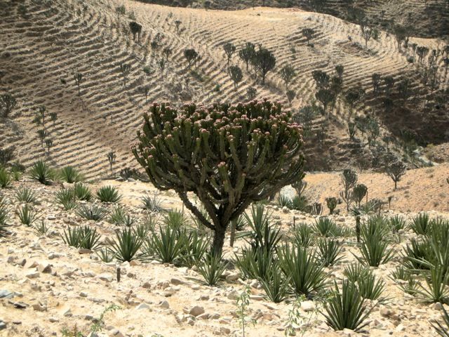 PAESAGGIO