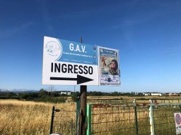 Amicizia in volo 2024