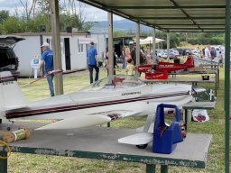 Amicizia in volo 2024
